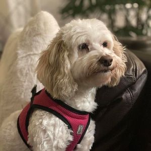 Meet your Posher, Marcia